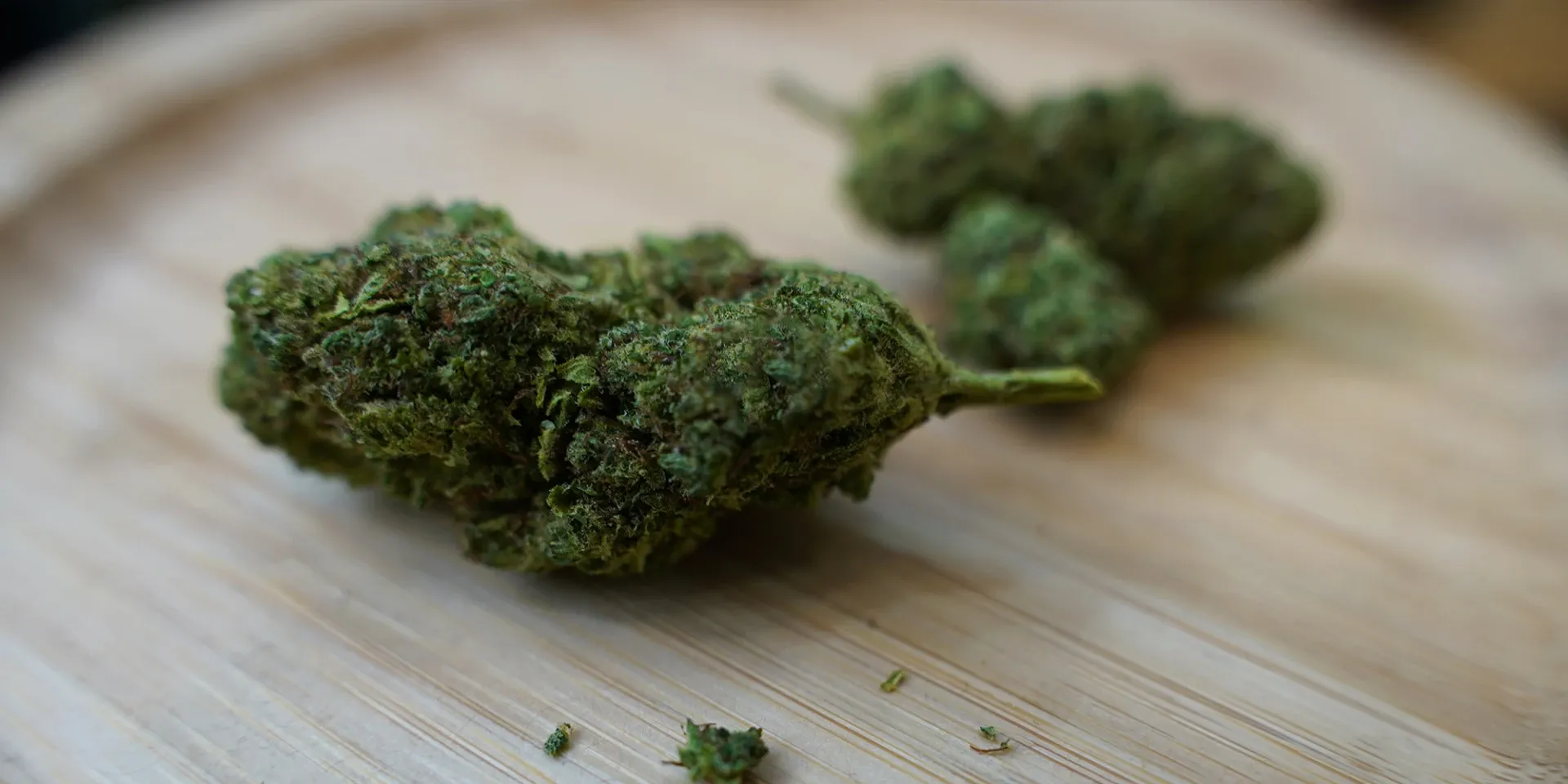 Complete Review of top delta 8 flower for Hemp Enthusiasts
